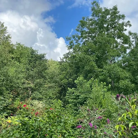 - In Der Hohen Eich Dg *