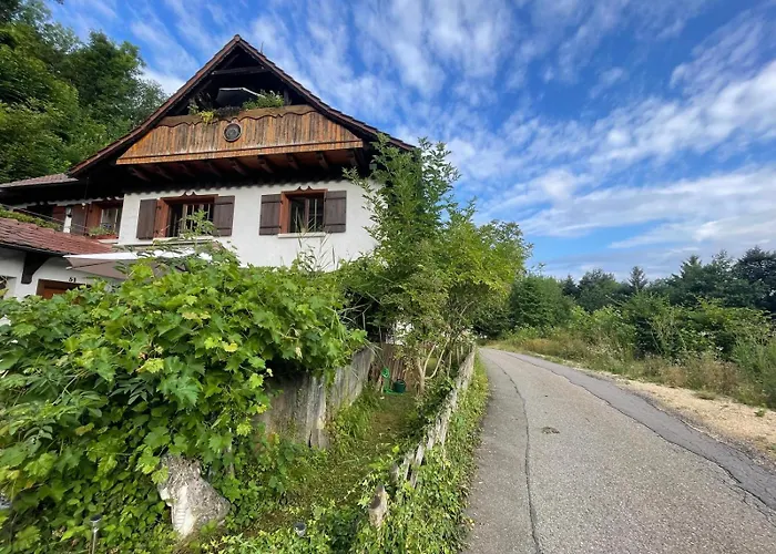 - In Der Hohen Eich Dg