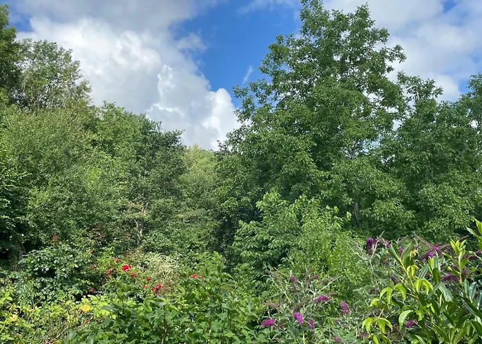 - In Der Hohen Eich Dg *