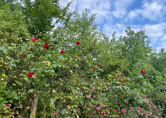 - In Der Hohen Eich Dg * Überlingen