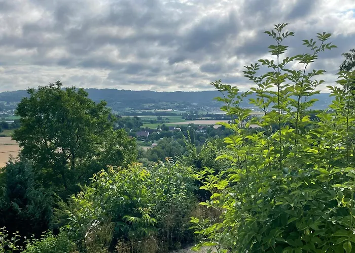- In Der Hohen Eich Dg